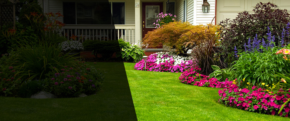 Ephraim Landscapers