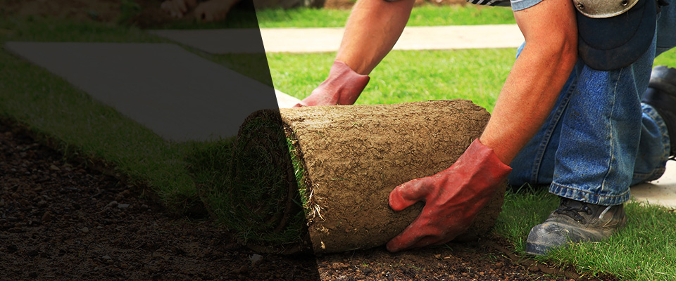 Ephraim Landscapers